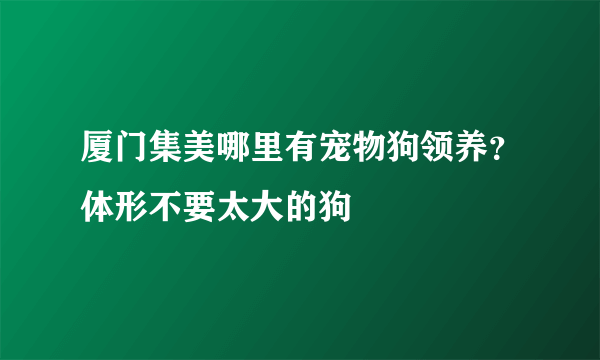 厦门集美哪里有宠物狗领养？体形不要太大的狗