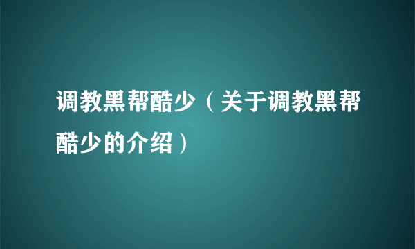 调教黑帮酷少（关于调教黑帮酷少的介绍）