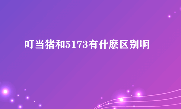 叮当猪和5173有什麽区别啊