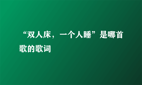 “双人床，一个人睡”是哪首歌的歌词