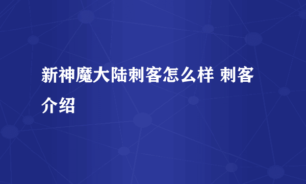 新神魔大陆刺客怎么样 刺客介绍