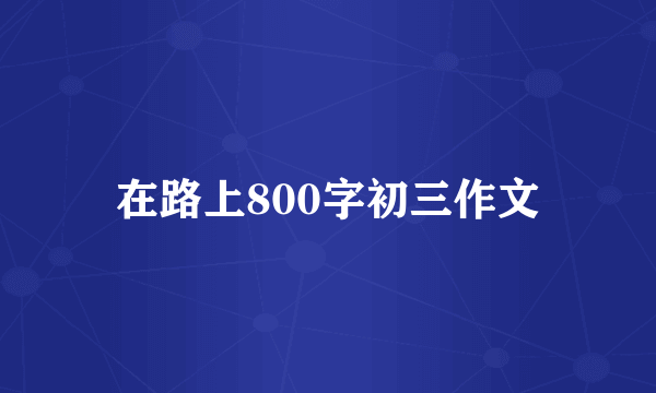 在路上800字初三作文