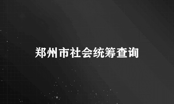 郑州市社会统筹查询