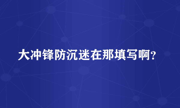 大冲锋防沉迷在那填写啊？