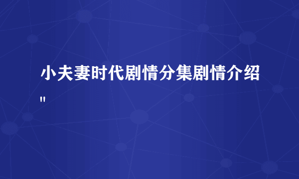 小夫妻时代剧情分集剧情介绍