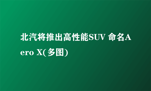 北汽将推出高性能SUV 命名Aero X(多图)