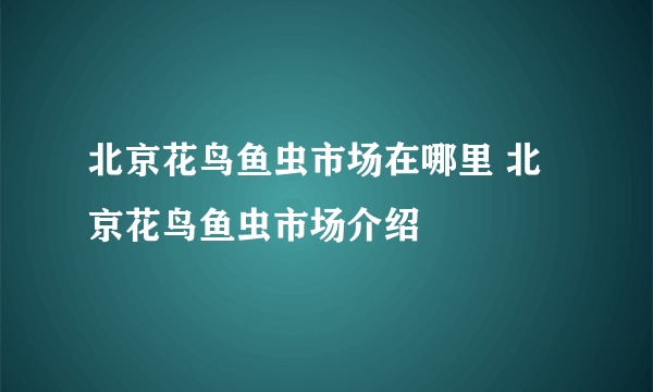 北京花鸟鱼虫市场在哪里 北京花鸟鱼虫市场介绍