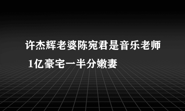 许杰辉老婆陈宛君是音乐老师 1亿豪宅一半分嫩妻