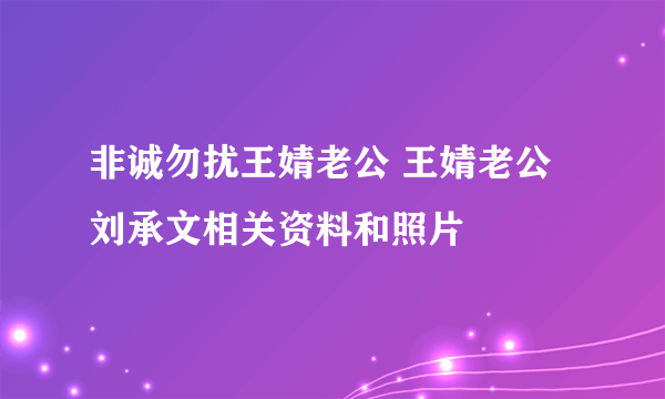 非诚勿扰王婧老公 王婧老公刘承文相关资料和照片