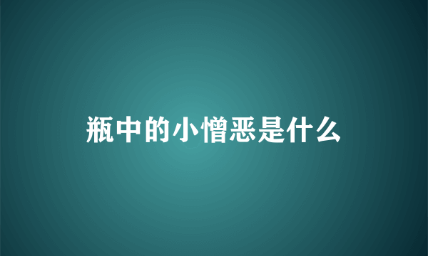 瓶中的小憎恶是什么