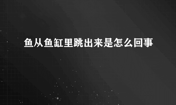 鱼从鱼缸里跳出来是怎么回事