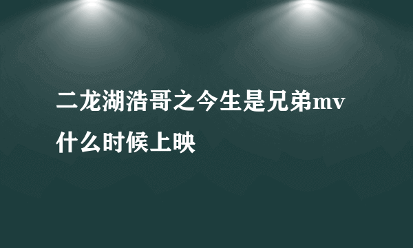 二龙湖浩哥之今生是兄弟mv什么时候上映