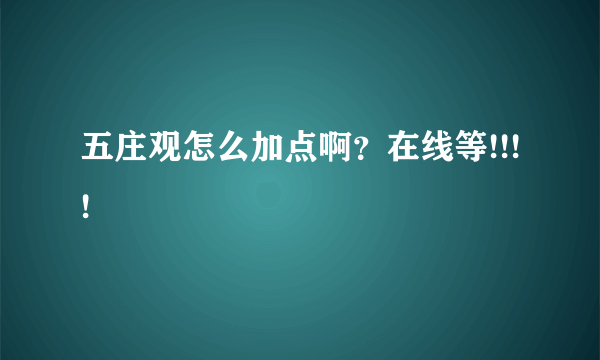 五庄观怎么加点啊？在线等!!!!