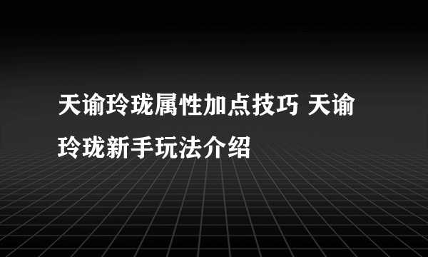 天谕玲珑属性加点技巧 天谕玲珑新手玩法介绍