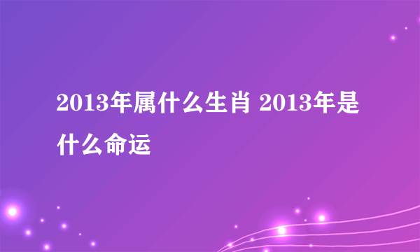 2013年属什么生肖 2013年是什么命运