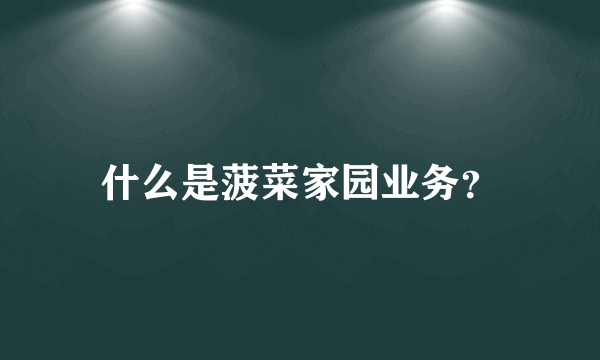 什么是菠菜家园业务？