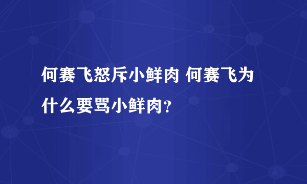 何赛飞怒斥小鲜肉 何赛飞为什么要骂小鲜肉？