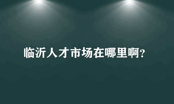 临沂人才市场在哪里啊？