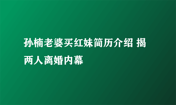 孙楠老婆买红妹简历介绍 揭两人离婚内幕