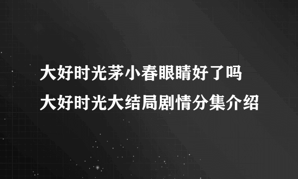 大好时光茅小春眼睛好了吗 大好时光大结局剧情分集介绍