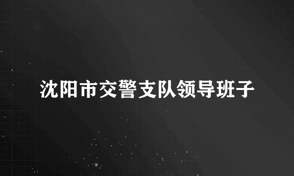 沈阳市交警支队领导班子