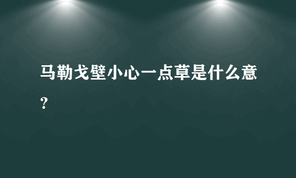 马勒戈壁小心一点草是什么意？