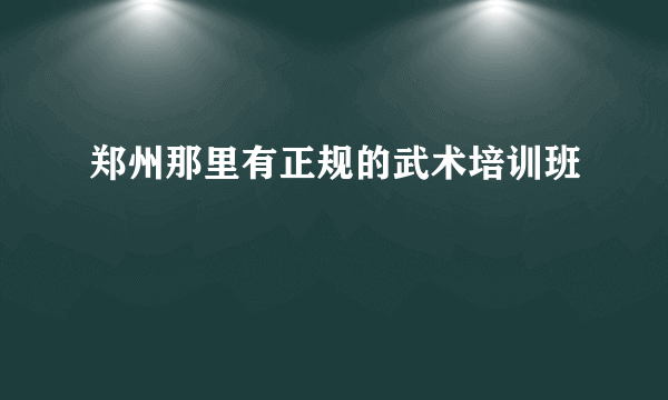 郑州那里有正规的武术培训班