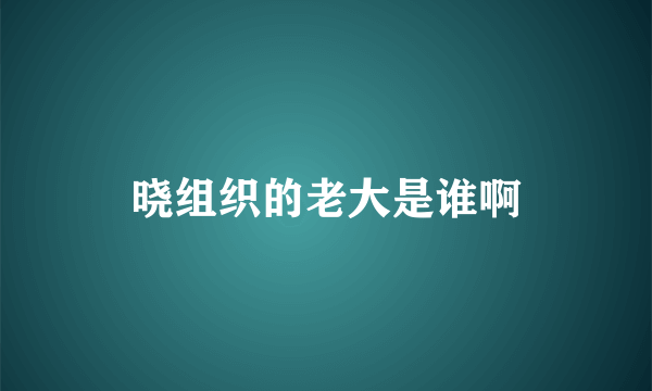 晓组织的老大是谁啊