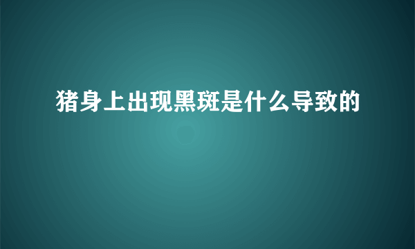 猪身上出现黑斑是什么导致的