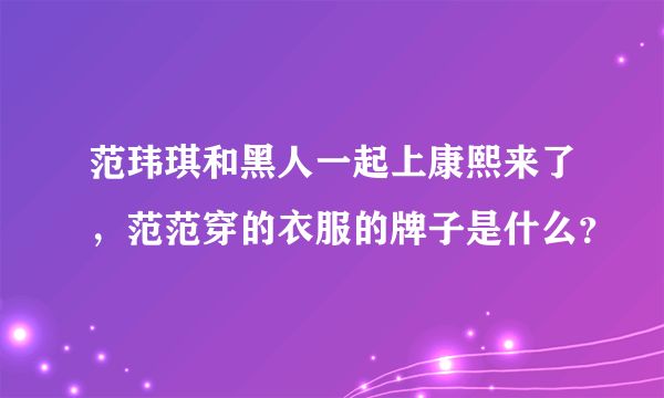 范玮琪和黑人一起上康熙来了，范范穿的衣服的牌子是什么？