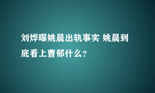 刘烨曝姚晨出轨事实 姚晨到底看上曹郁什么？