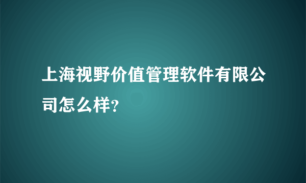 上海视野价值管理软件有限公司怎么样？