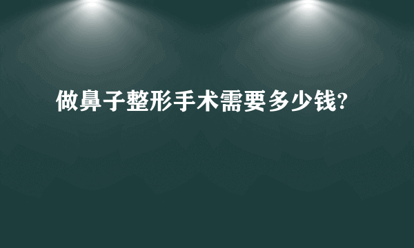 做鼻子整形手术需要多少钱?