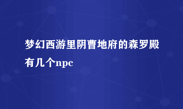 梦幻西游里阴曹地府的森罗殿有几个npc