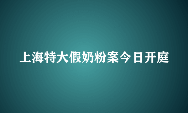 上海特大假奶粉案今日开庭