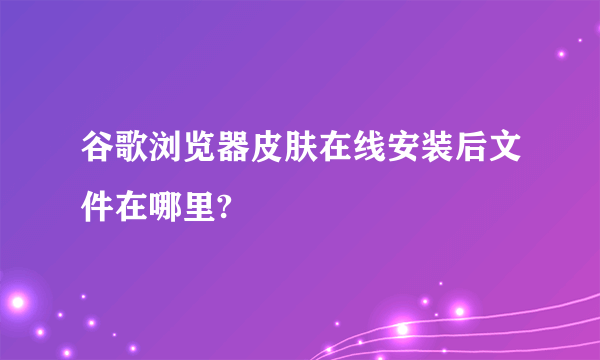 谷歌浏览器皮肤在线安装后文件在哪里?