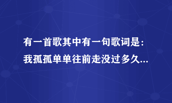 有一首歌其中有一句歌词是：我孤孤单单往前走没过多久就低下头。歌名是什么？