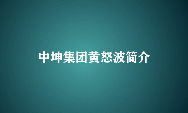 中坤集团黄怒波简介