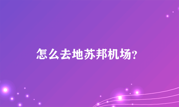 怎么去地苏邦机场？