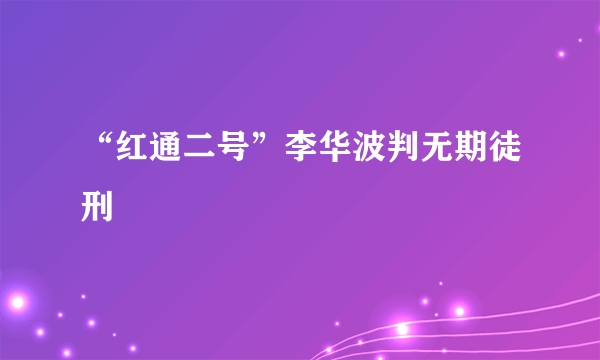 “红通二号”李华波判无期徒刑  