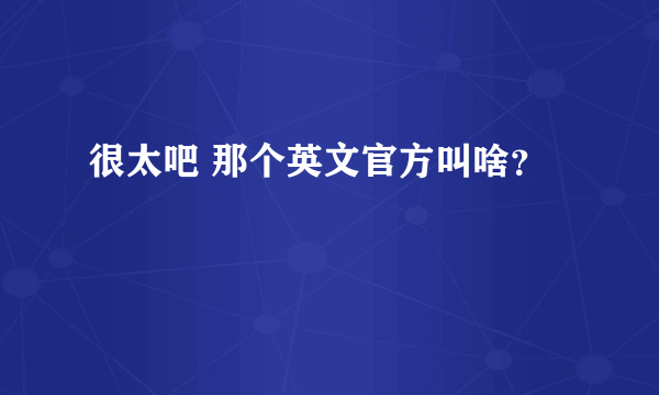 很太吧 那个英文官方叫啥？