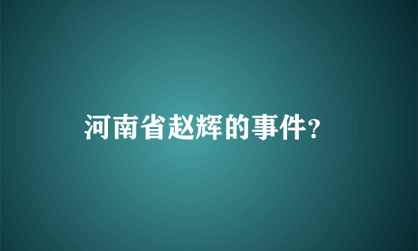 河南省赵辉的事件？