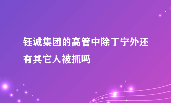 钰诚集团的高管中除丁宁外还有其它人被抓吗