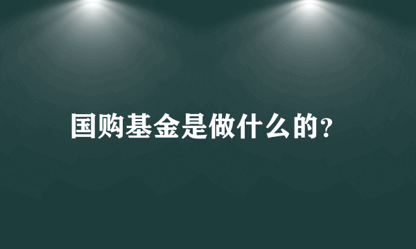 国购基金是做什么的？