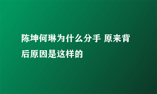 陈坤何琳为什么分手 原来背后原因是这样的