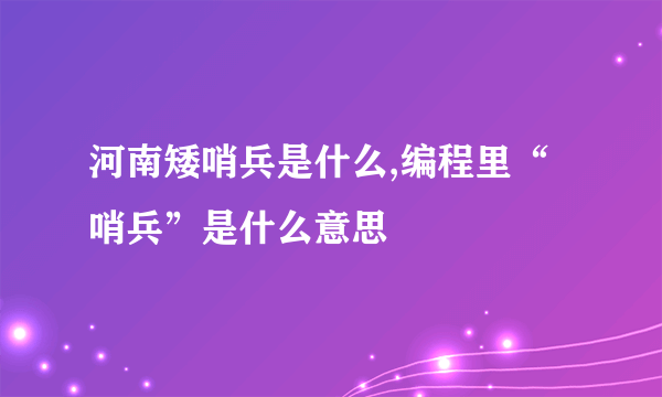 河南矮哨兵是什么,编程里“哨兵”是什么意思