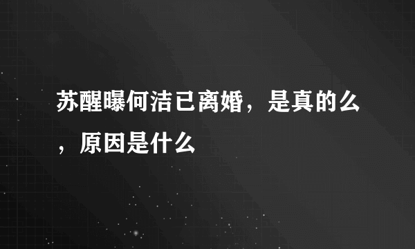 苏醒曝何洁已离婚，是真的么，原因是什么