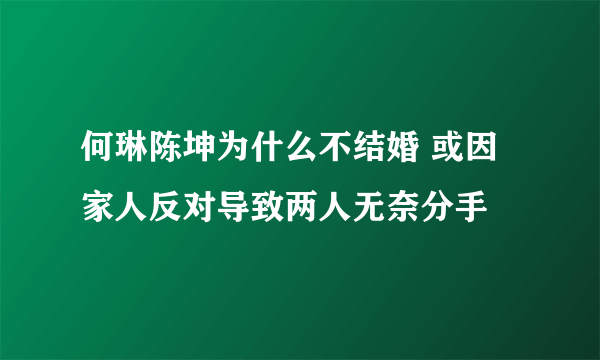 何琳陈坤为什么不结婚 或因家人反对导致两人无奈分手