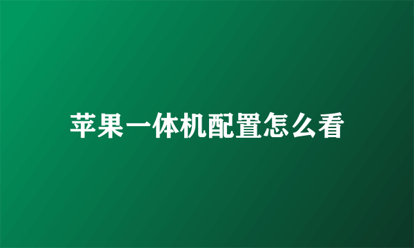 苹果一体机配置怎么看