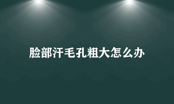 脸部汗毛孔粗大怎么办